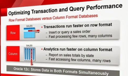 oracle 12c in-memory optimization (transaction and query)