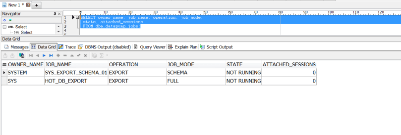 datapump query check