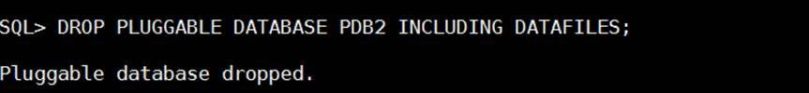 drop pluggale database
