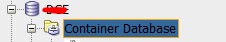 container database in sql developer